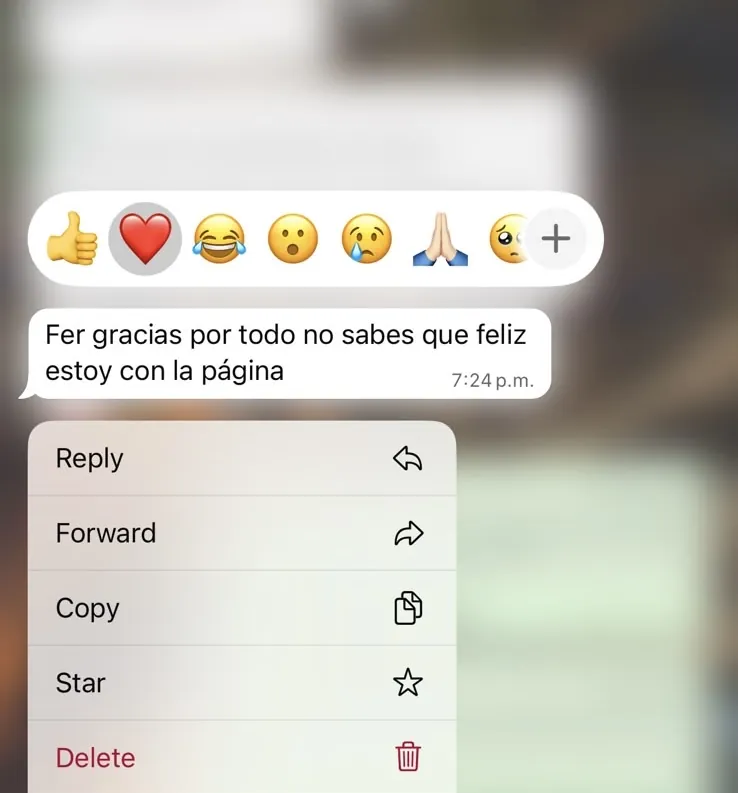 Conversación original con el cliente 1